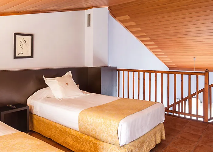 Hotel Vall De Bas